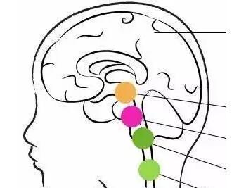 擇思達(dá)斯的效果_智力低下早期有哪些異常表現(xiàn)